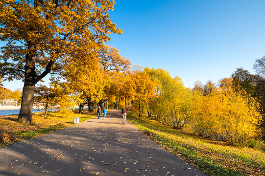 View of city park in autumn