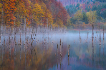 Lake Cuejdel on a cold autumn morning