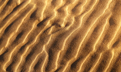 Beautiful photo background golden sand