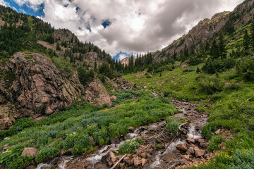 Mountain Stream in the Eagles Nest Wilderness, Colorado