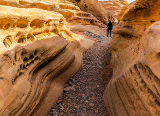 Female Hiker in Slot Canyon On The Prospect Trail, Valley of Fire State Park,, Nevada, USA
