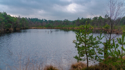 Pietmoor in der Lüneburger Heide Moor 