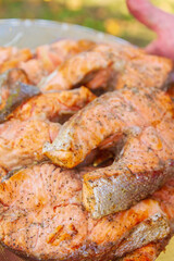 Grilled red fish trout steaks lie on a glass plate