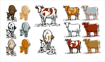 A set of cows. Color illustration of icons logos. Vector.