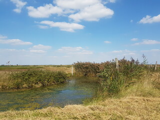 river in the field