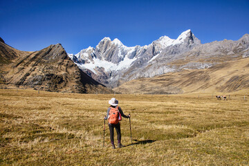 Fototapeta premium Trekker at the Janca (Mitacocha) campsite, Cordillera Huayhuash circuit, Ancash, Peru