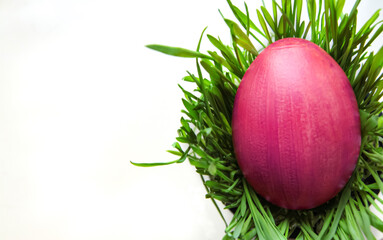 Coloured Easter egg on grass, top view