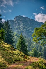 Fototapeta na wymiar hike in the swiss nature and mountain region of Speer, Federispitz, Chuemettler, Grappehorn
