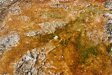 Mineral rich waters bubbling over deposits at Yellowstone's West Thumb Geyser Basin, Wyoming