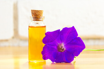 Obraz na płótnie Canvas petunia essential oil in beautiful bottle on White background