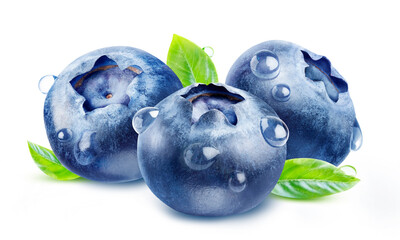 Three blueberries with drops with leaves isolated on white background with clipping path.
