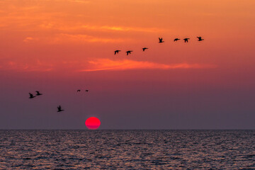 Sonnenaufgang Insel Texel, Niederlande