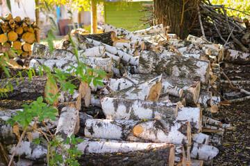 Sawn birch trunks lie on top of each other