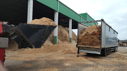 Alternative fuel, ecological fuel, biofuel Wood sawdust, sawdust close-up background. Sawdust texture