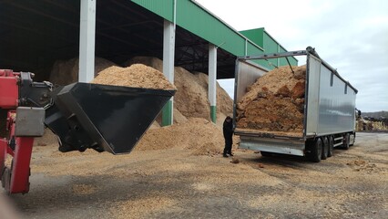 Alternative fuel, ecological fuel, biofuel Wood sawdust, sawdust close-up background. Sawdust...