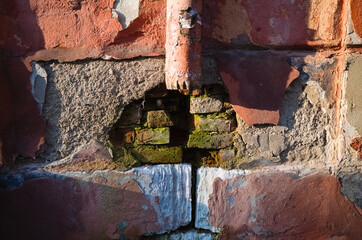 Drain pipe on old brick wall with green mold. Rusty drainpipe on weathered damaged wall with cracks.