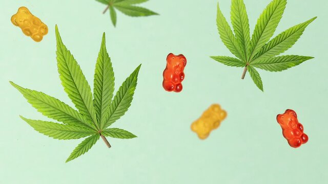 Cannabis leaf with CBD infused jelly bears falling down. 4k video. Medical marijuana sweets. TCH edibles. Place for text