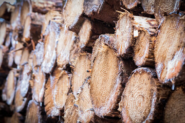 Stacked timber logs selective focus