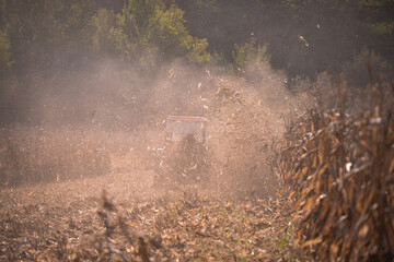an old red tractor chopping corn in the field. mechanized agriculture in the village. maize cutter