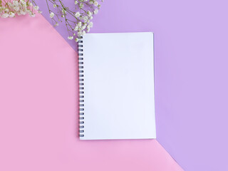 notebook  gypsophila flowers on a colored background