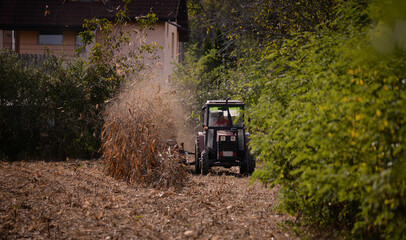 an old red tractor chopping corn in the field. mechanized agriculture in the village. maize cutter