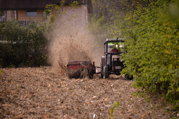 Fototapeta premium an old red tractor chopping corn in the field. mechanized agriculture in the village. maize cutter