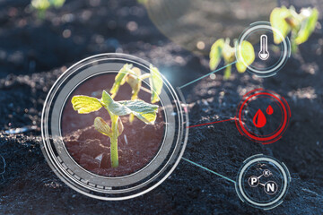Smart farming with IoT, futuristic agriculture concept: digital monitoring with red warning alarm of humidity experience on digital holographic screen