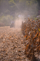an old red tractor chopping corn in the field. mechanized agriculture in the village. maize cutter