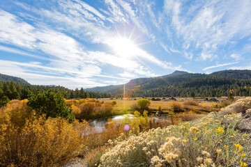 Sunny view with beautiful fall color along the Hope Valley in Lake Tahoe area