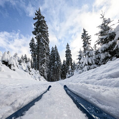Bielice - Cross Country Ski Paradise