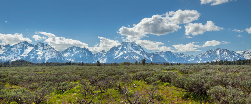 Panorama Of The Grand Teton Mountains In Wyoming