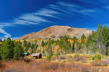 Sunny view with beautiful fall color along the Hope Valley in Lake Tahoe area