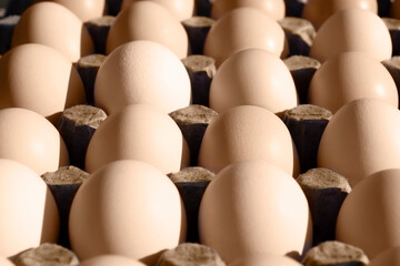 Lots of chicken eggs in a cardboard box with hard shadows