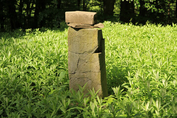 Naklejka premium Brzegi Gorne - Berehy, old cemetery, former and abandoned village in Bieszczady Mountains, Poland 