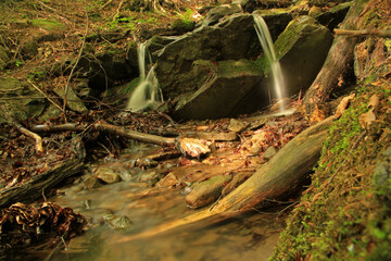 Stream in the forest near Carynska, Bieszczady National Park, Poland