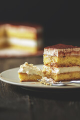 Delicious tiramisu cake, traditional dessert.