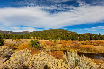 Sunny view with beautiful fall color along the Hope Valley in Lake Tahoe area