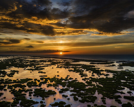 Mangrove Sunset