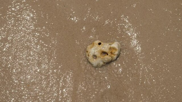 Adder stone with holes washed by beating sea waves, lie on sandy beach, top-down shot. Water move back and quickly absorb in soft wet sand. Small piece of rock washed to round shape