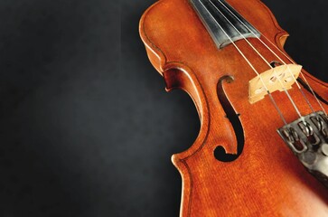 Fototapeta premium Acoustic.