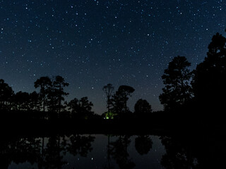 night sky with trees and stars reflecting on a pond