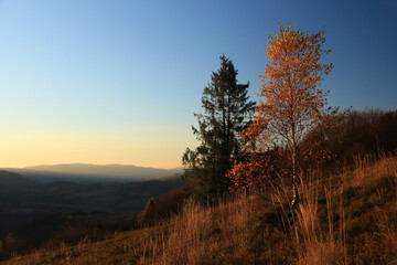 Obraz premium Autumn in Bieszczady National Park, sunset near Wyzna Pass, Poland