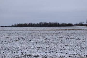 Snowy Field