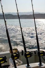 Spinning rods with reels in holders before fishing on the boat.