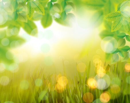 Beautiful landscape with sunlight and flare and bokeh with blur in background and fresh leaves in park. © drubig-photo