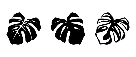 Set of black silhouettes of tropical monstera leaves isolated on a white background. Vector illustration. © naddya