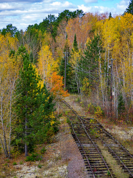 Abandoned railroad tracks running through autumn trees