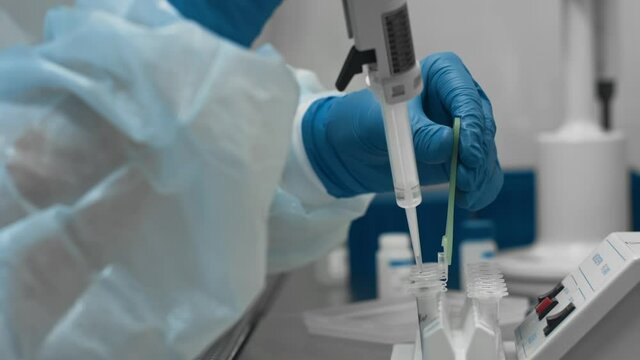 Process of studying dangerous bacteria and viruses in high tech medical laboratory. Scientist in protective suit and gloves examines biological samples in test tubes