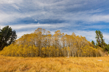 Sunny view with beautiful fall color along the Hope Valley in Lake Tahoe area