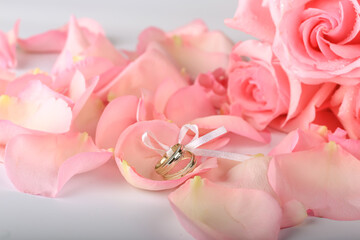 pink roses with wedding rings. wedding romantic background